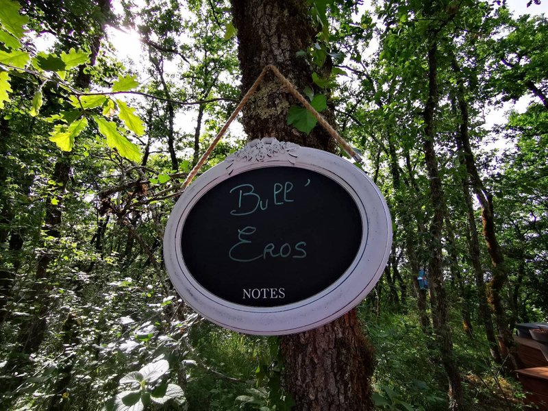 Hébergement AbracadaRoom : Bull'Eros & Spa - Image 14