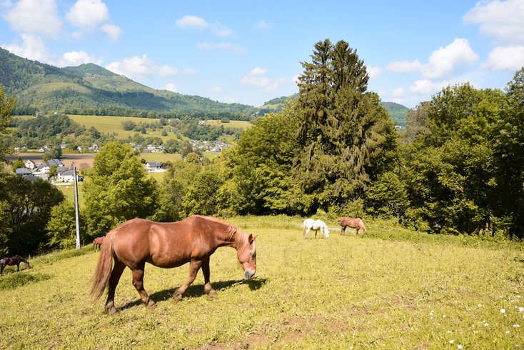 Domaine AbracadaRoom : Le Perchoir des Pyrénées - Image 18