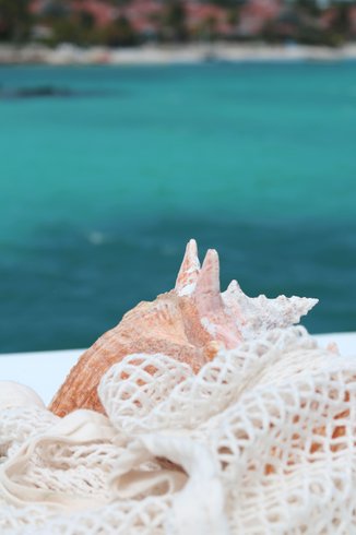 Hébergement AbracadaRoom : Aqua Lodge le Rêve flottant Les Saintes - Image 58