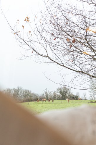 Domaine AbracadaRoom : Pépiite Périgord Vert - Image 44