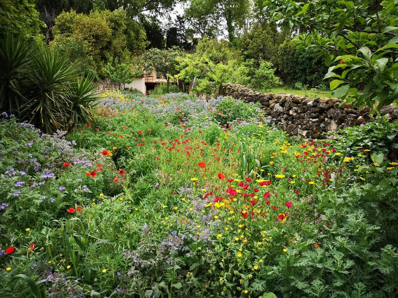 Domaine AbracadaRoom : Yourte au coeur du village - Image 1