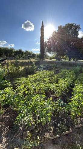 Hébergement AbracadaRoom : Notre Cabane perchée & son lac privé - Image 31
