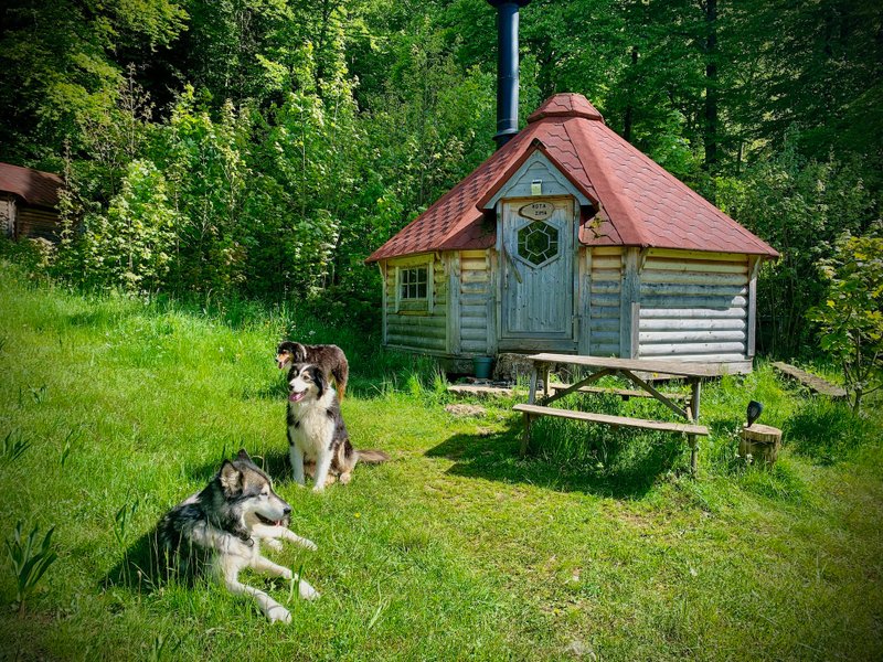 Hébergement AbracadaRoom : Kota 4 Zima - Séjour inoubliable auprès de huskies - Image 24