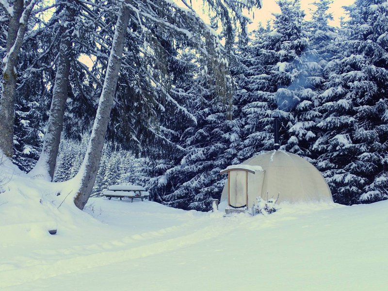 Hébergement AbracadaRoom : Lodge Wapi - Image 1