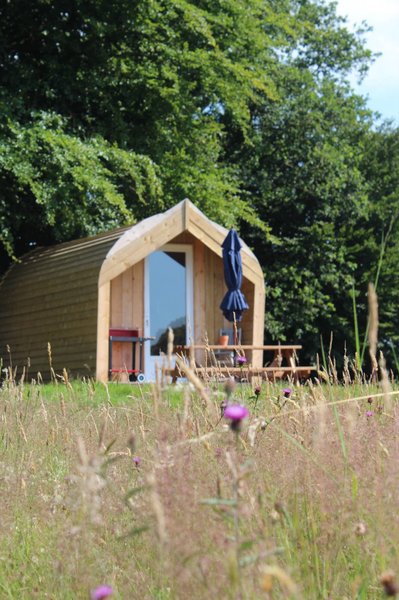 exterieur2-hetre-green-tree-glamping