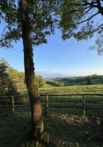 Domaine AbracadaRoom : Homnest (Bessins) - Image 18