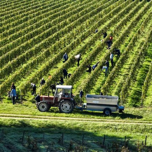 Domaine AbracadaRoom : Escales en Sologne - Image 13
