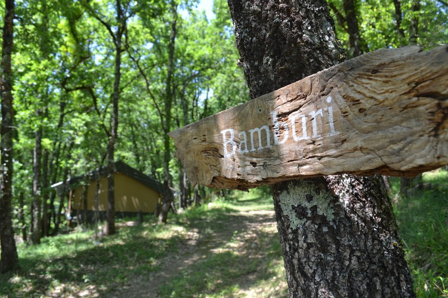 Hébergement AbracadaRoom : Bamburi, dans les bois - Image 5