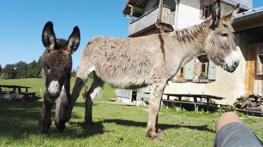 Hébergement AbracadaRoom : La hutte - Image 7