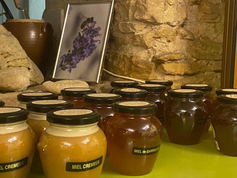 Domaine AbracadaRoom : Homnest (Mondragon) - Image 9