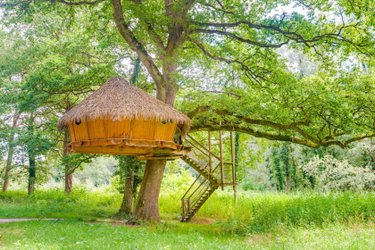 Cabane Spa Rêveuse à Chassey-Lès-Montbozon (1)