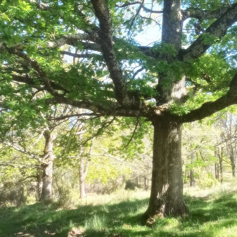 Hébergement AbracadaRoom : La Ruche - Image 13