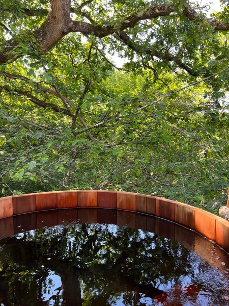 Hébergement AbracadaRoom : Cabane Spa Belle Forêt - Image 9