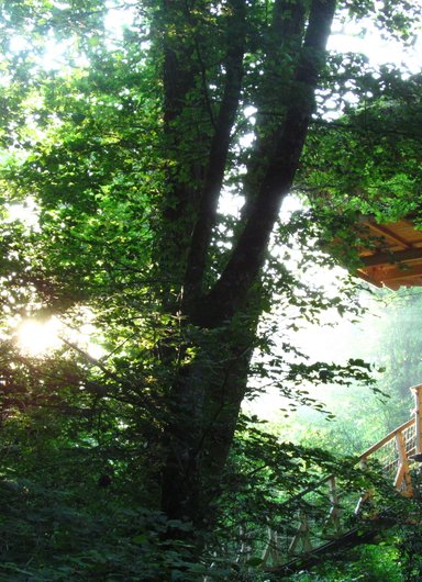 Cabane Amazonie à Magné