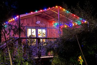Cabane sur pilotis Hérault