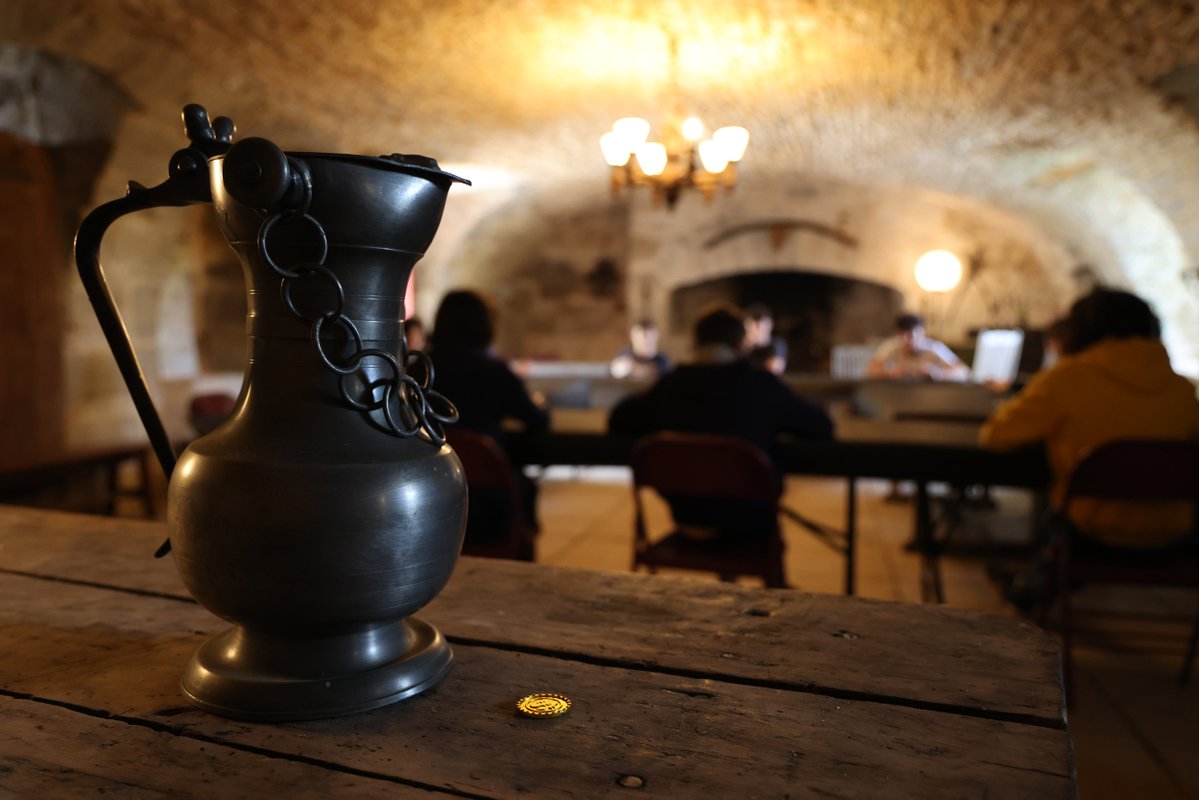 L'Aile Renaissance + la Tour Médiévale - 18 personnes à Saint-Chamarand (39)