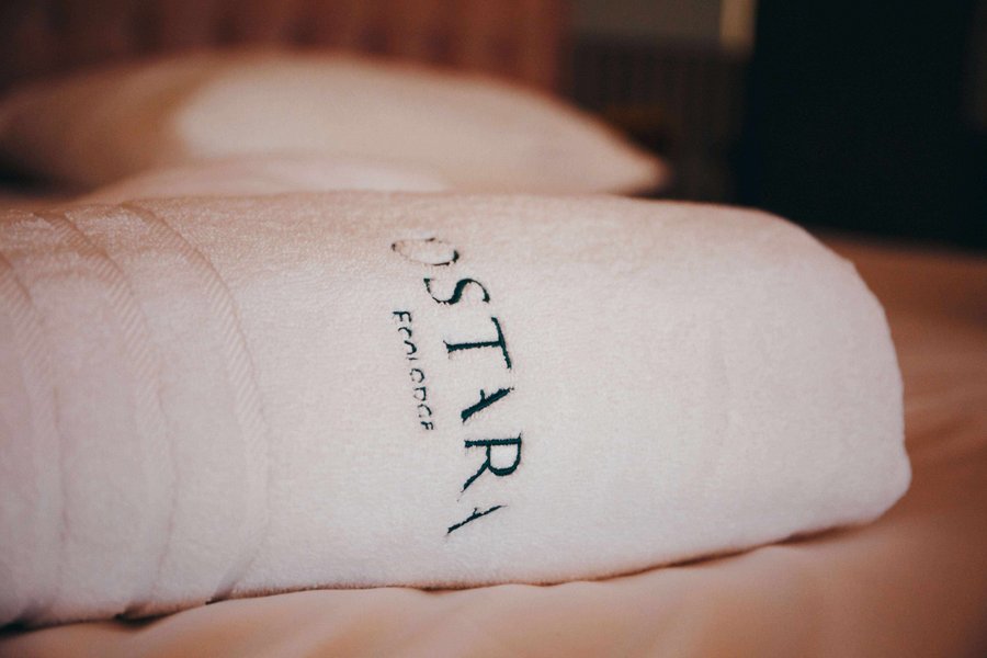 Hébergement AbracadaRoom : Hestia : Ecolodge de luxe avec bain nordique pour 2-10 personnes - Image 37