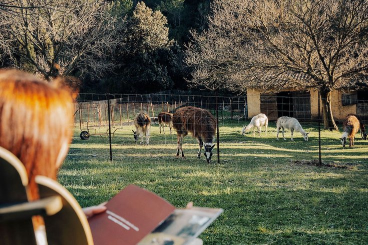 Domaine AbracadaRoom : Parcel Tiny House - au pied du Mont Ventoux - Image 22
