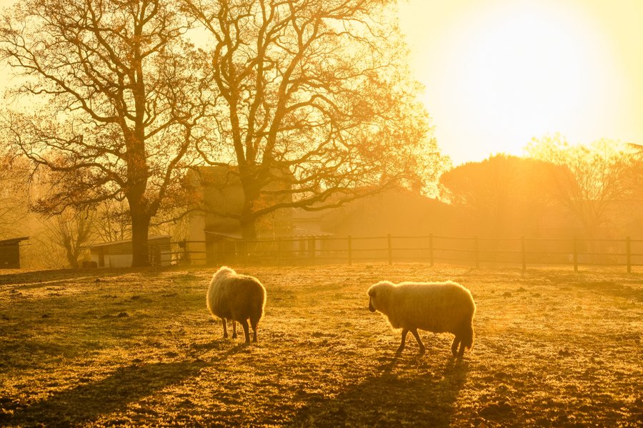 Domaine AbracadaRoom : Homnest (Puybegon) - Image 5