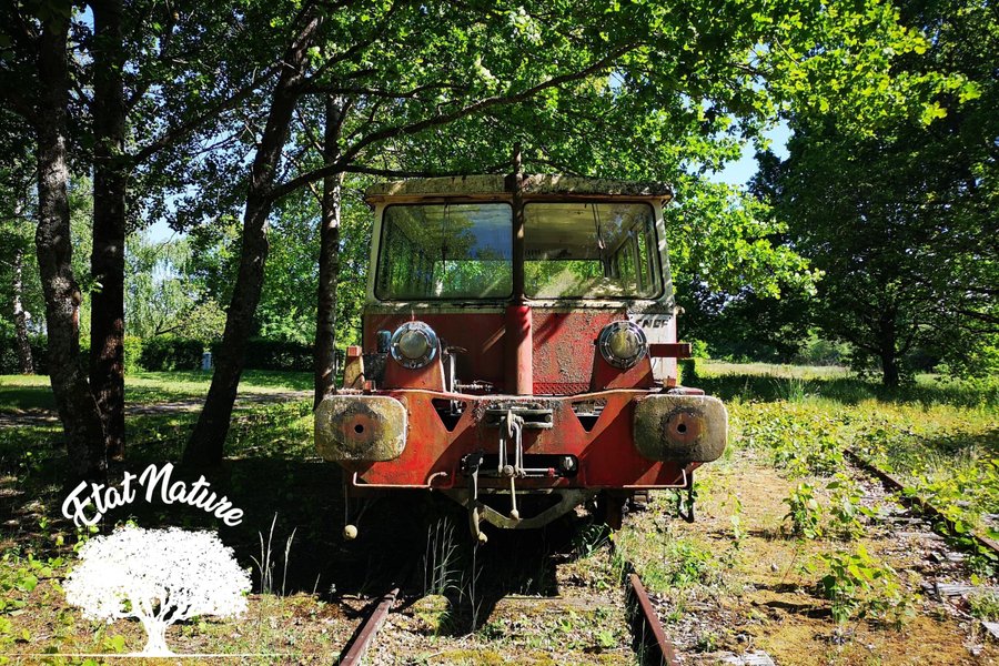 Domaine AbracadaRoom : Etat Nature - Image 8