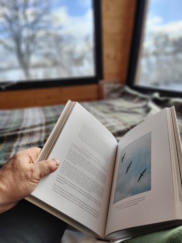 Hébergement AbracadaRoom : Moose  Tiny House Ambur - Image 5