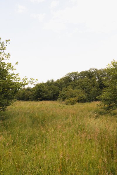 Domaine AbracadaRoom : Parcel Tiny House - à 20min du Zoo de Beauval - Image 22