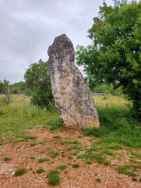 Domaine AbracadaRoom : Camping La Deveze - Image 8