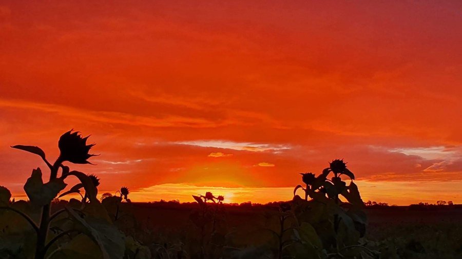 Domaine AbracadaRoom : Jardin Zen du Quistillic - Image 20