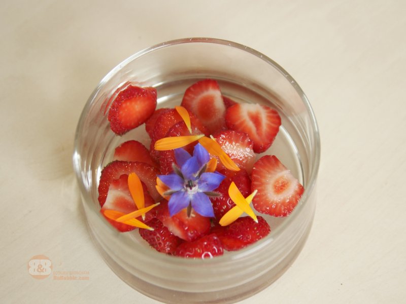 Domaine AbracadaRoom : Ecolieu B & Bubble Drincham - Image 12