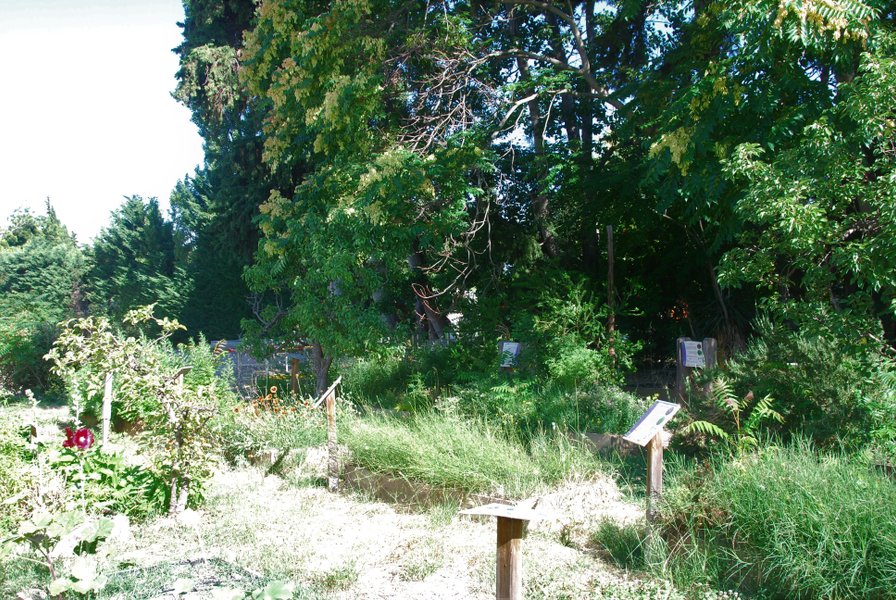 Domaine AbracadaRoom : Nid'Oiselet - Image 6