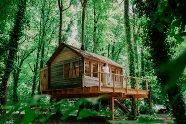 La Cabane de La Tortillère à Marcay (1)