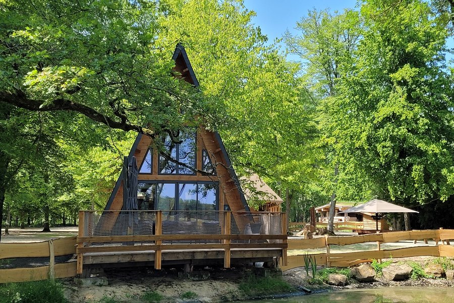 La cabane Delta — photo 2
