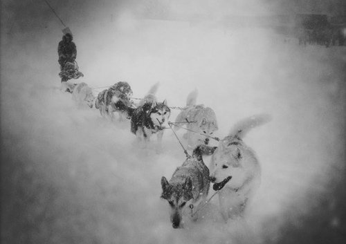 Domaine AbracadaRoom : Atipic Lodge - Image 7