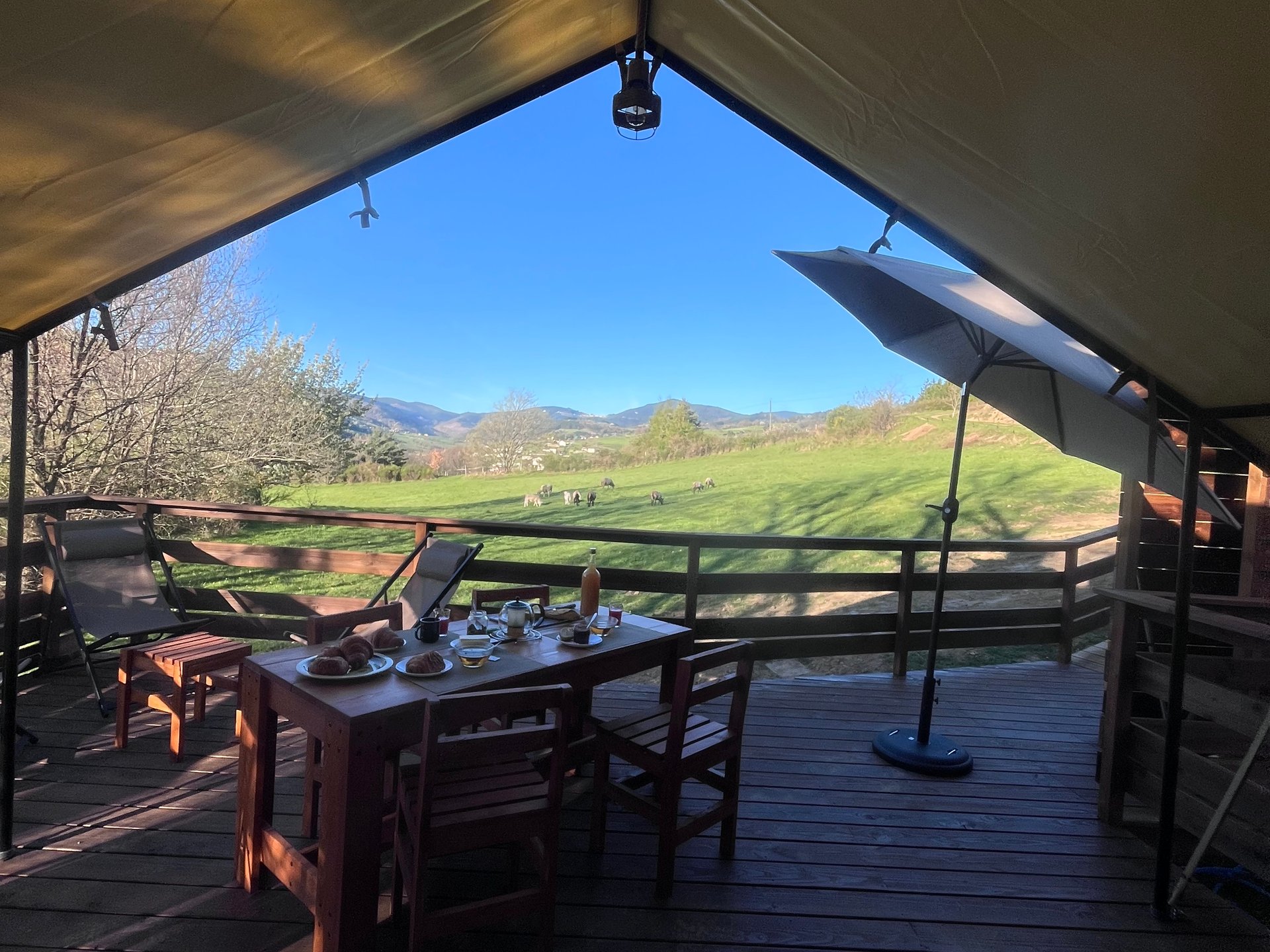 Domaine Solio - Lodge, vue sur les animaux et piscine