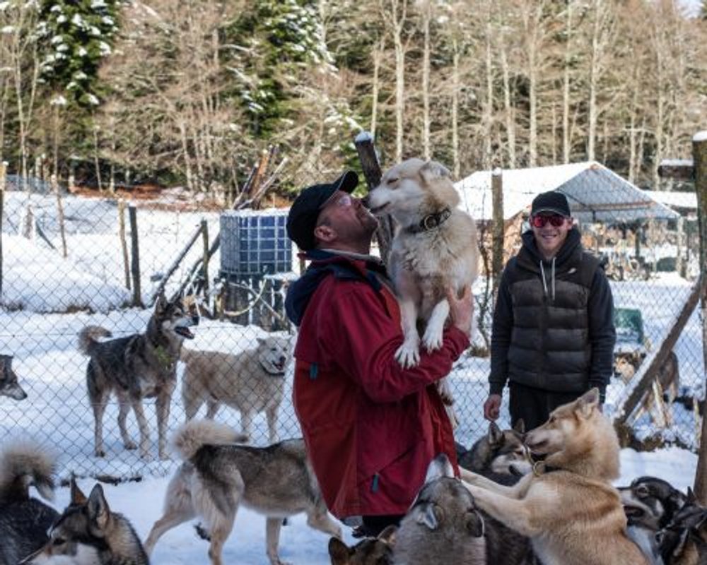 Kota 2 Ivalo - Séjour inoubliable auprès de huskies à Vassieux-En-Vercors (19)