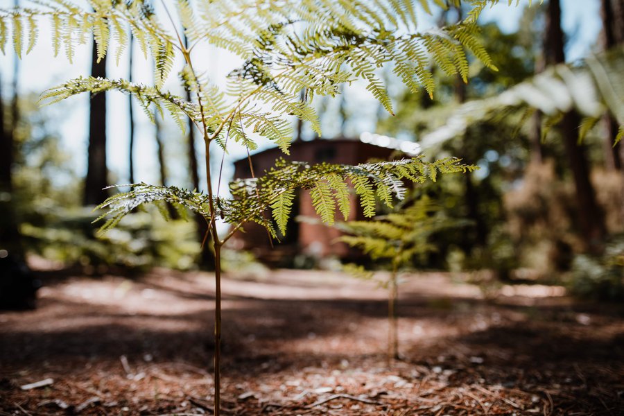 Domaine AbracadaRoom : Tiny Stay Ecolodge - Image 9