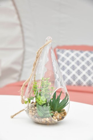 Hébergement AbracadaRoom : Bulle Ecureuil - Image 21