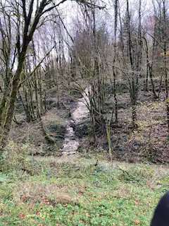 Domaine AbracadaRoom : Roulotte du Jura Vert - Image 10