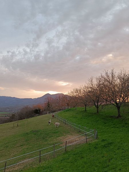 Domaine AbracadaRoom : Homnest (Saint-André) - Image 6