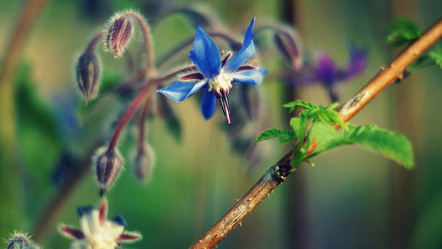 Domaine AbracadaRoom : La Ferme de la Goursaline - Image 8