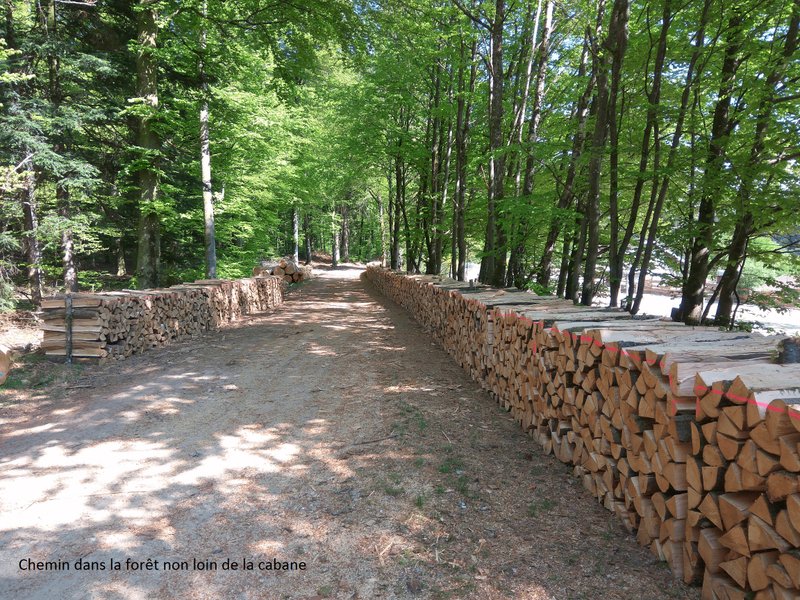 Domaine AbracadaRoom : La Pat' de l'ours - Image 2