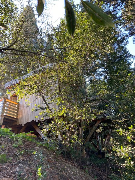 Hébergement AbracadaRoom : Cabane Fresnes - Image 5