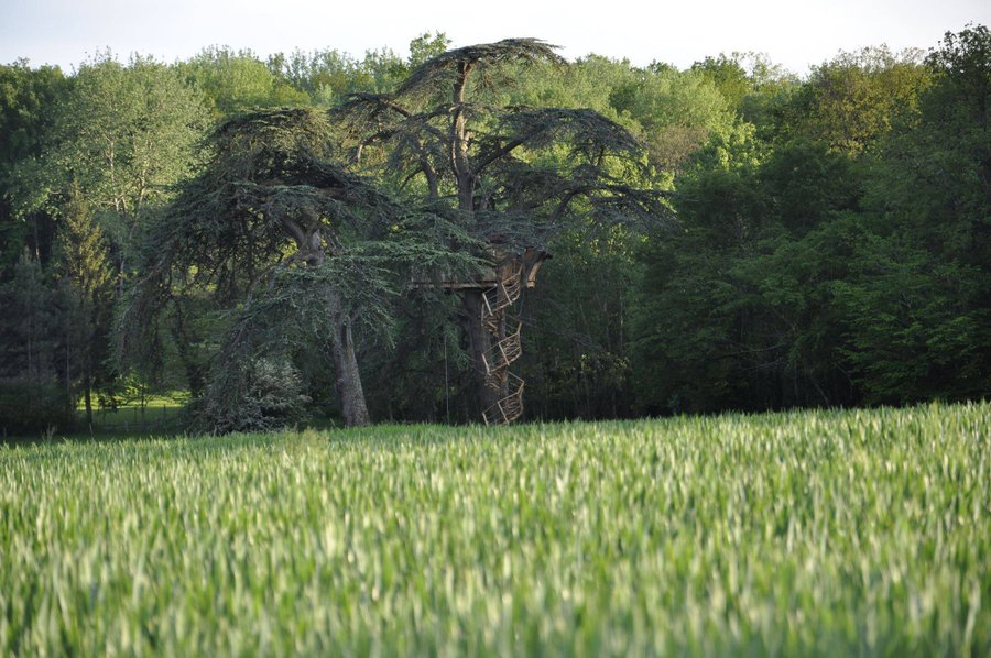 Hébergement AbracadaRoom : Cabane Africaine - Image 5