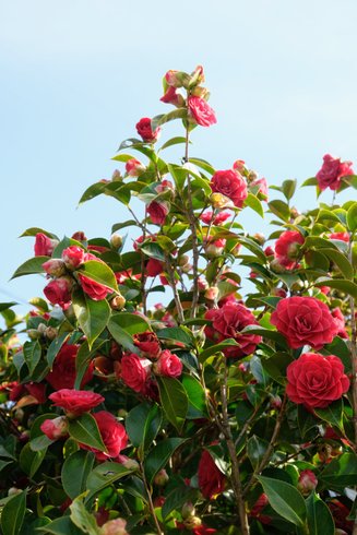 Domaine AbracadaRoom : Mesnil & Une Nuit - Image 17