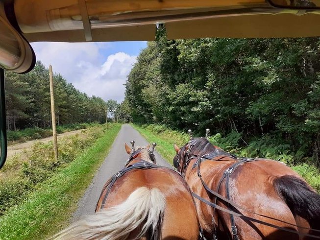 Hébergement AbracadaRoom : La Roulotte des pionniers "THE WANDERER" - Image 8