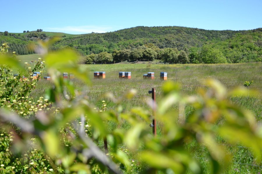 Domaine AbracadaRoom : Cabanes Trésors de Campagne - Image 11