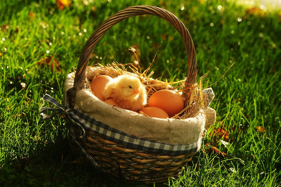 Domaine AbracadaRoom : Kimaro Farmhouse - Image 29