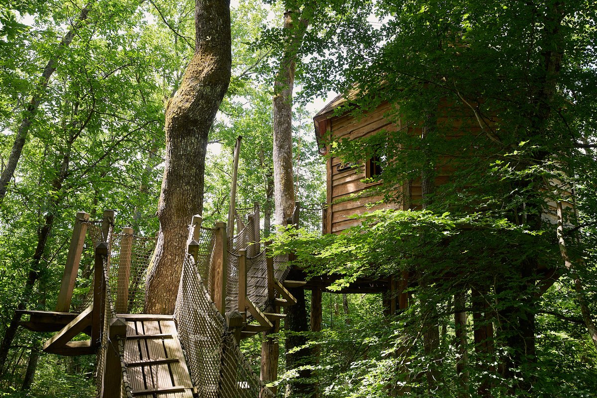 Cabane avec spa "Cocoon" à Lamothe-Fénelon (22)