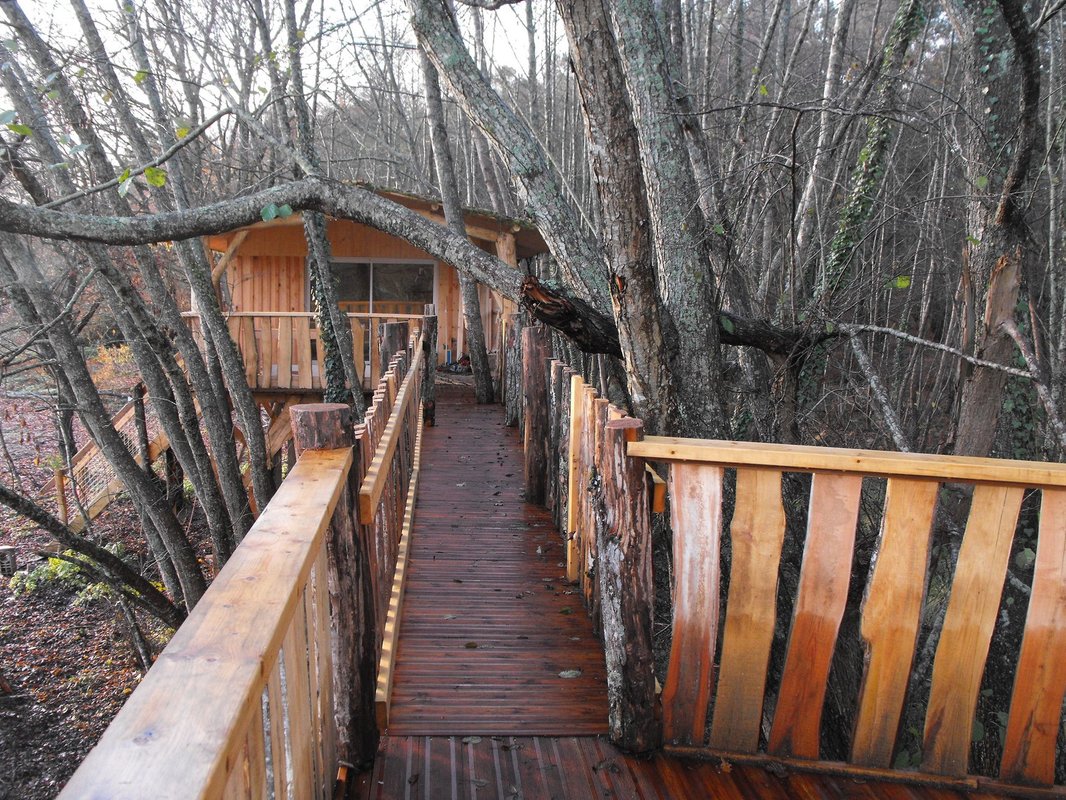 Cabane des Cerfs à Allons (11)