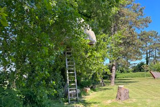 Treecamp-Etretat Aventure